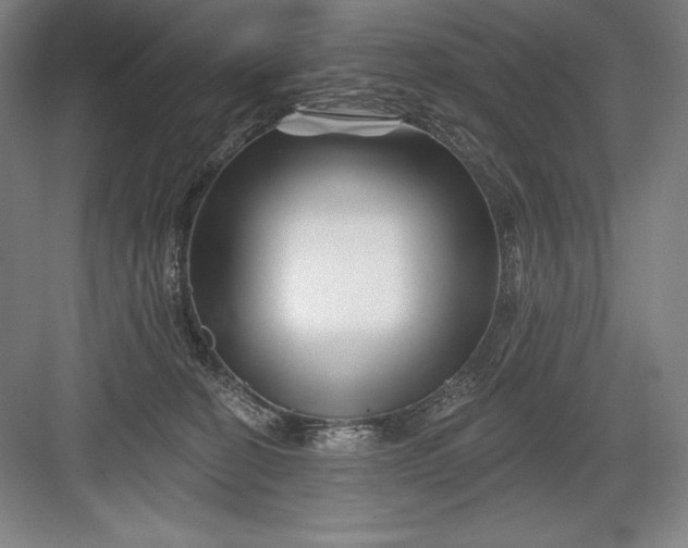 X0000082960274200702152314