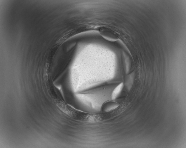 X0000082960275200702152314