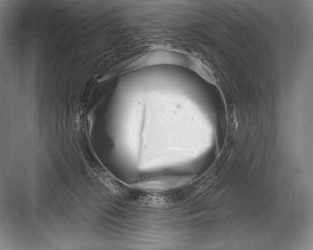 X0000082960276200702152314