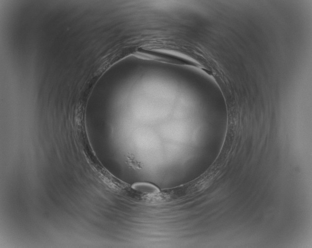 X0000082960277200702152314