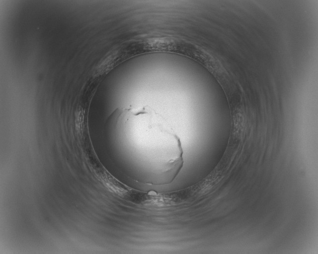 X0000082960278200702152314