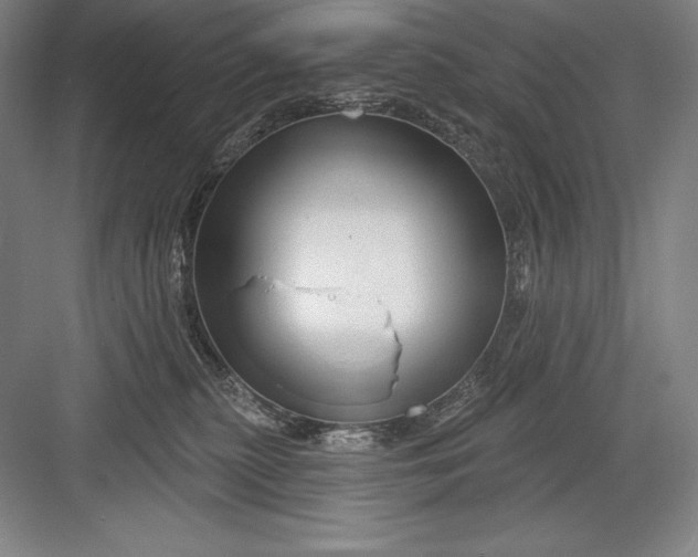 X0000082960279200702152314