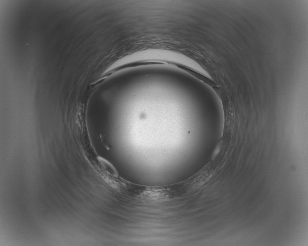 X0000082960280200702152314