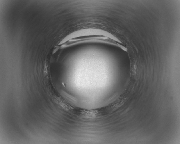 X0000082960282200702152314