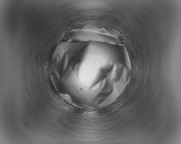 X0000082960283200702152314