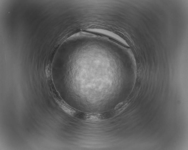 X0000082960285200702152314