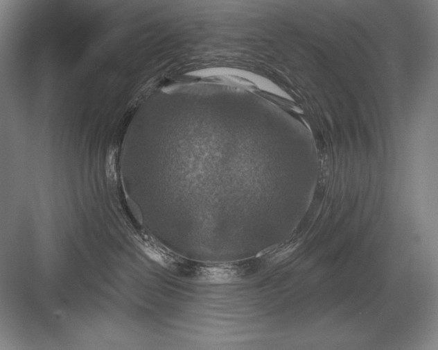 X0000082960286200702152314