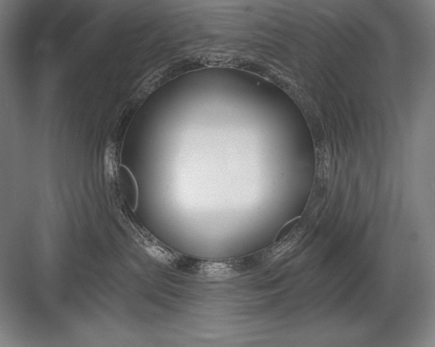 X0000082960287200702152314