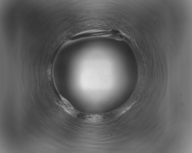 X0000082960288200702152314