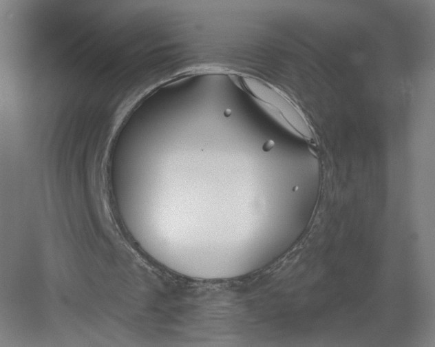 X0000082960289200702152313