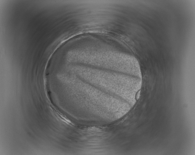 X0000082960290200702152313