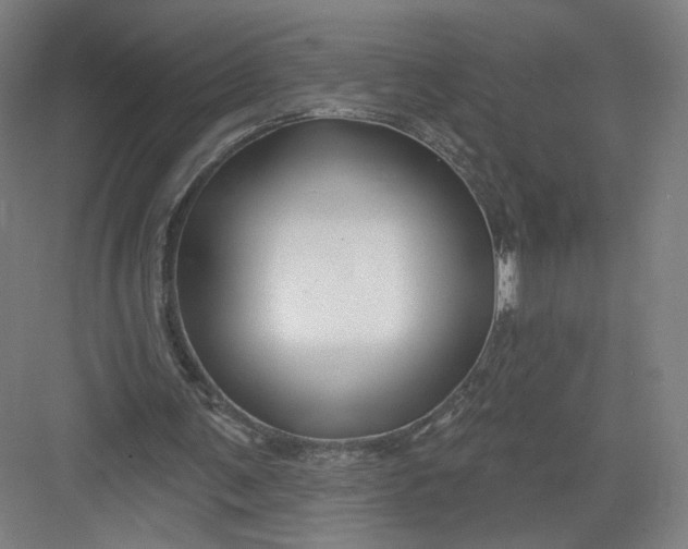 X0000082960291200702152313