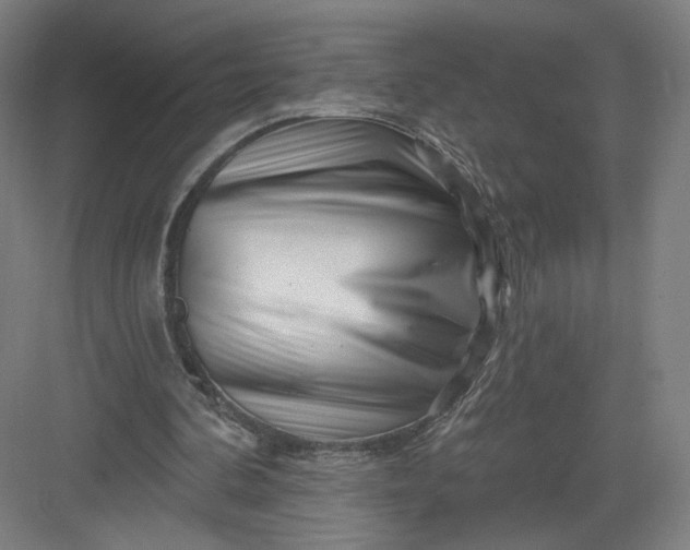 X0000082960292200702152313