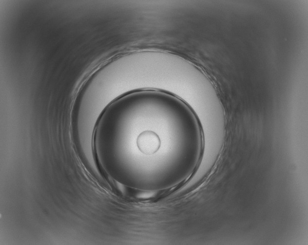 X0000082960293200702152313