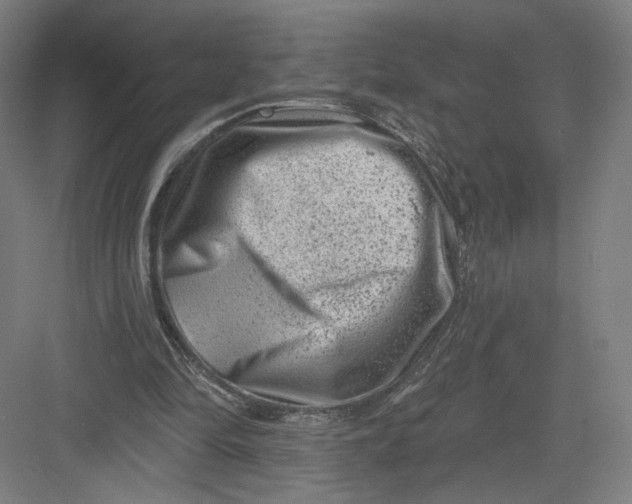 X0000082960294200702152313