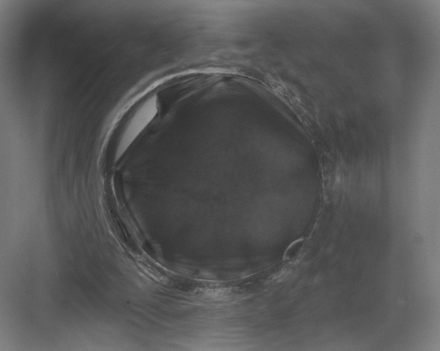 X0000082960295200702152313