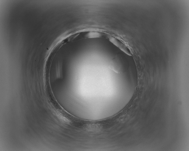 X0000082960296200702152313