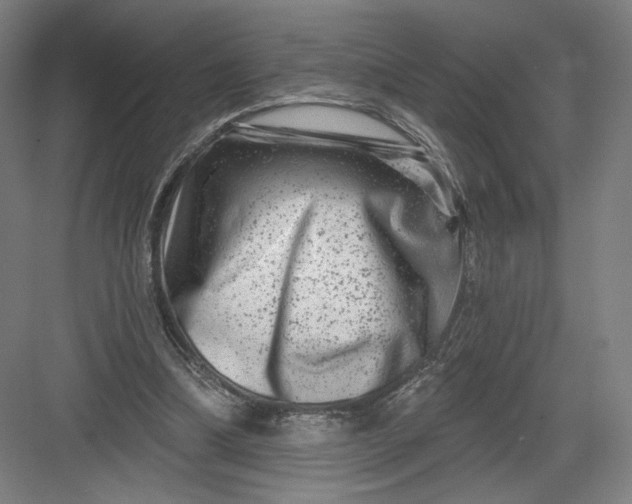 X0000082960298200702152313