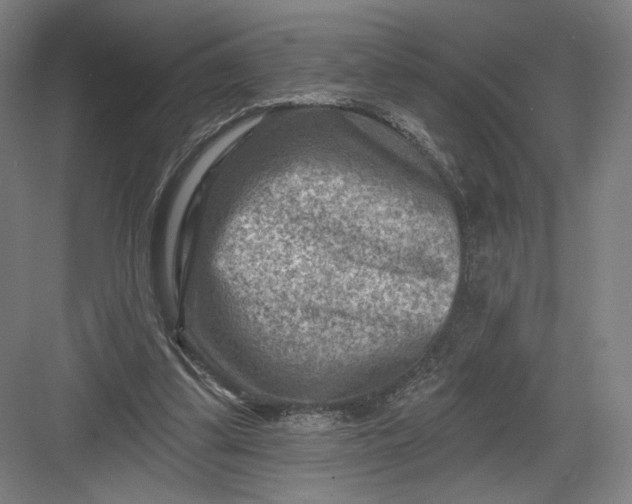 X0000082960299200702152313