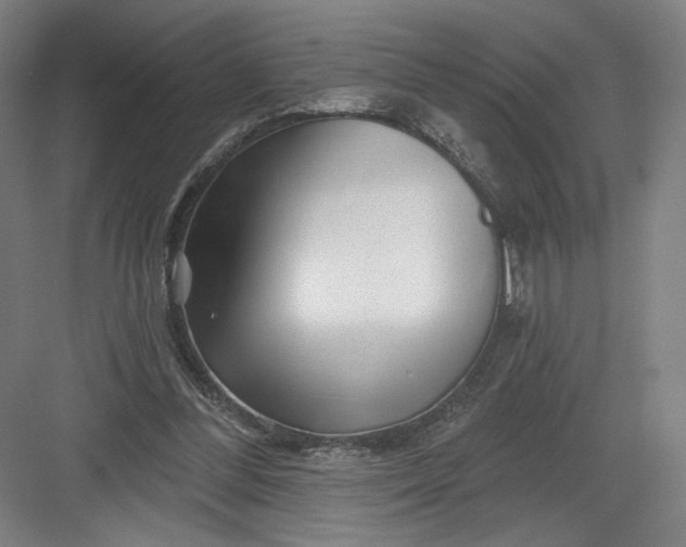 X0000082960300200702152313