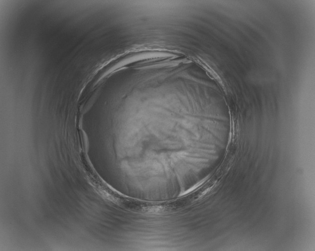 X0000082960301200702152313