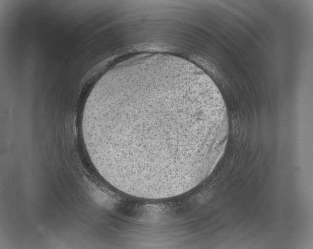 X0000082960302200702152313