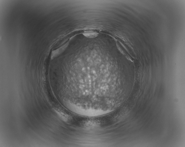 X0000082960303200702152313