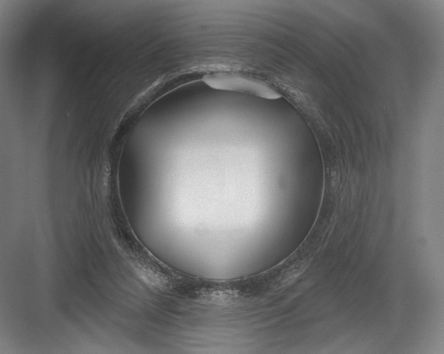 X0000082960304200702152313