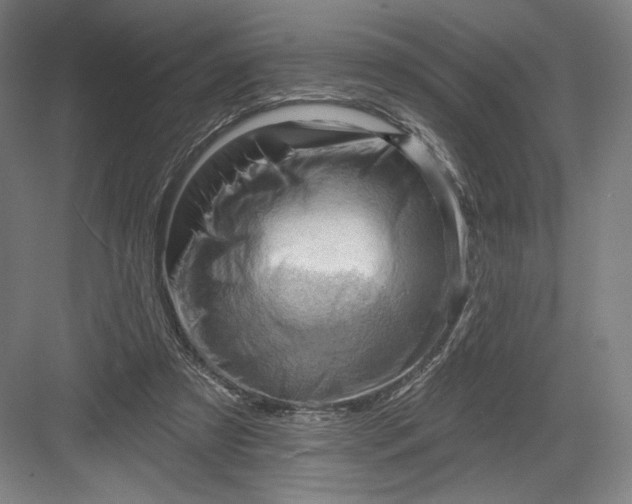 X0000082960305200702152313