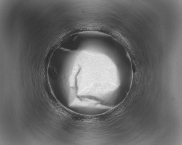 X0000082960306200702152313