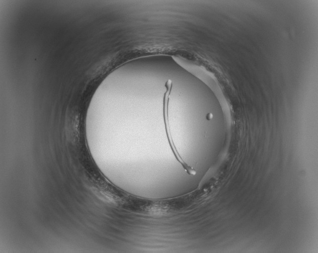 X0000082960308200702152313