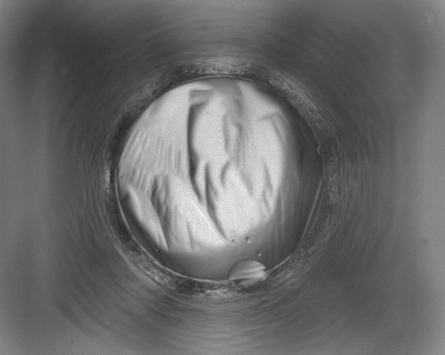 X0000082960310200702152313