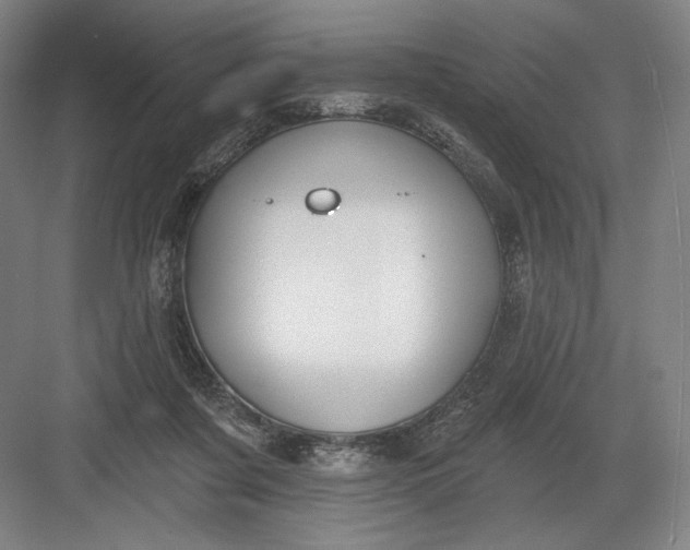 X0000082960311200702152313