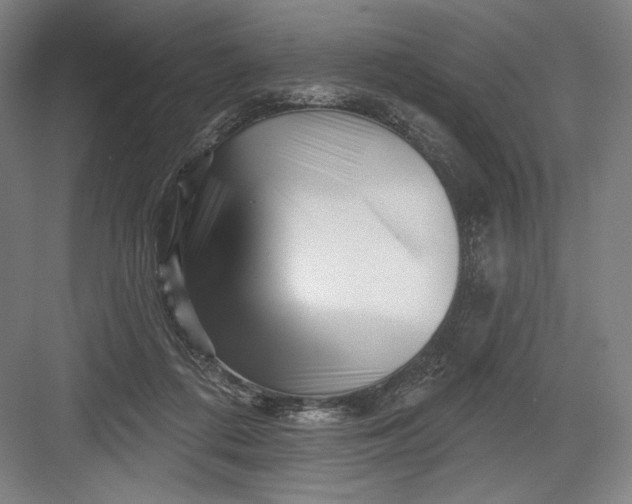 X0000082960312200702152313