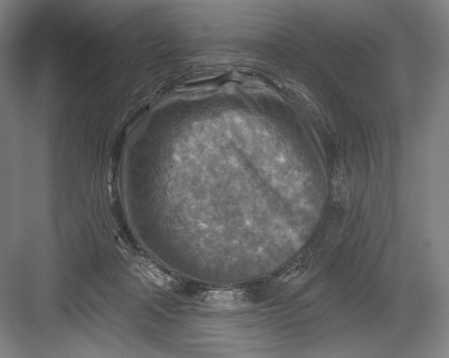 X0000082960314200702152313