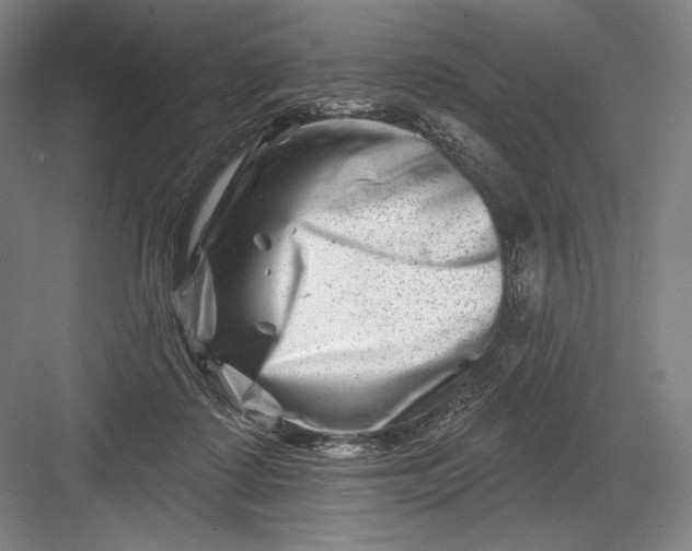 X0000082960315200702152313