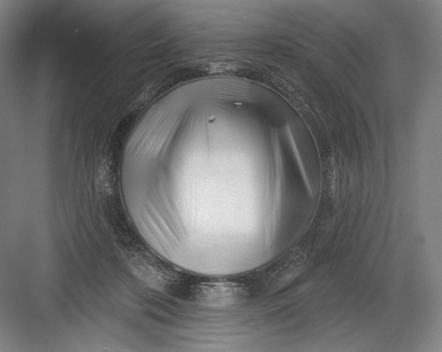 X0000082960316200702152313