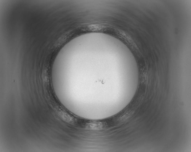 X0000082960317200702152313