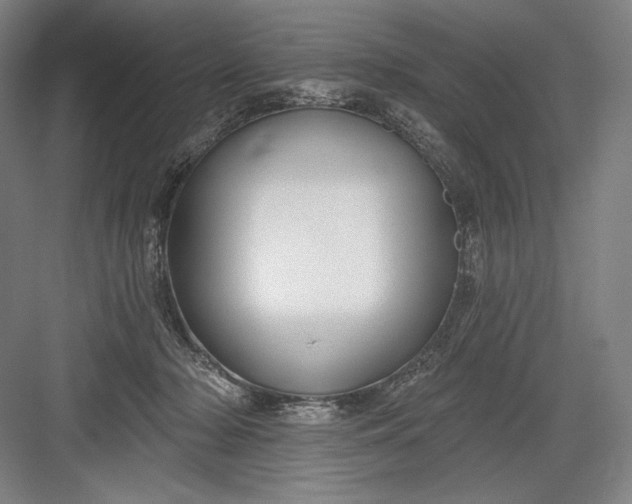 X0000082960318200702152312