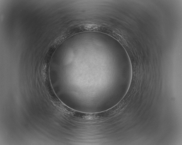 X0000082960319200702152312