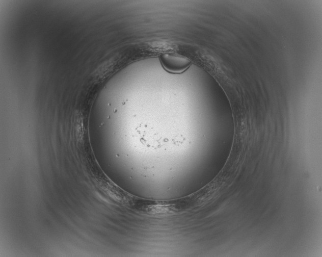 X0000082960320200702152312