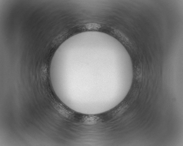 X0000082960321200702152312