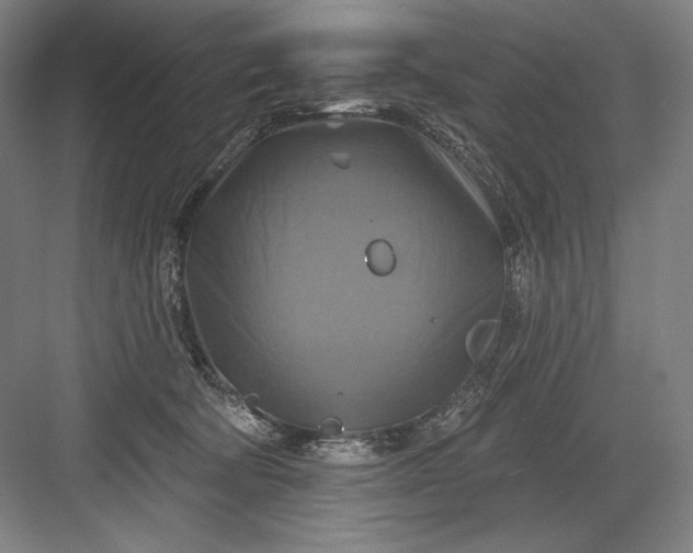 X0000082960322200702152312