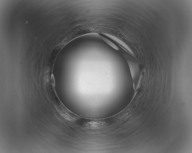 X0000082960323200702152312