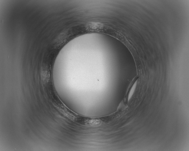 X0000082960324200702152312