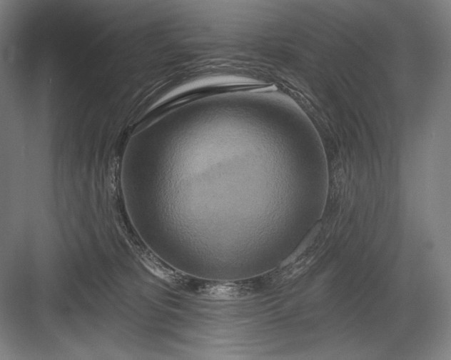 X0000082960325200702152312