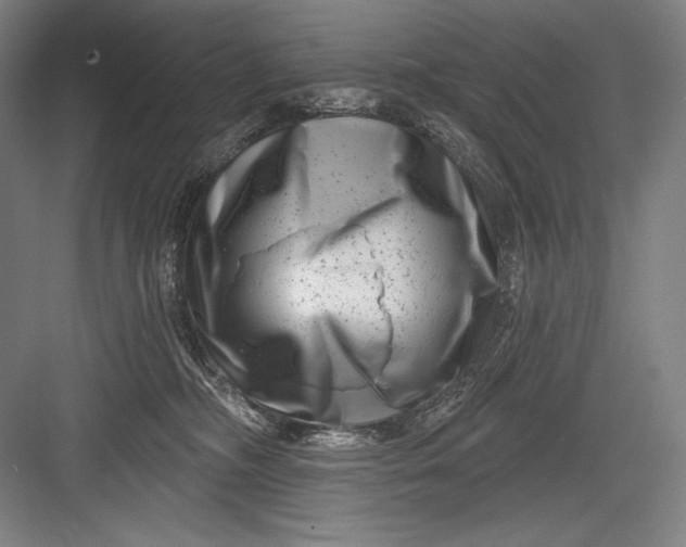 X0000082960326200702152312