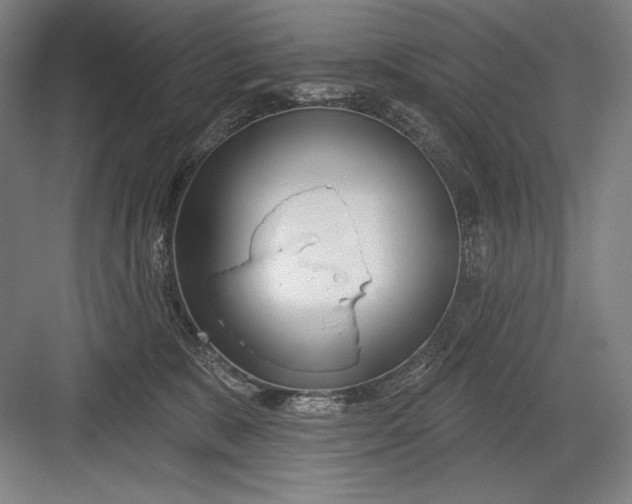 X0000082960327200702152312