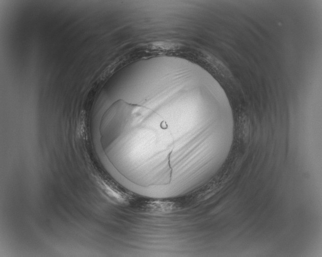 X0000082960328200702152312