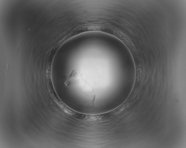 X0000082960329200702152312